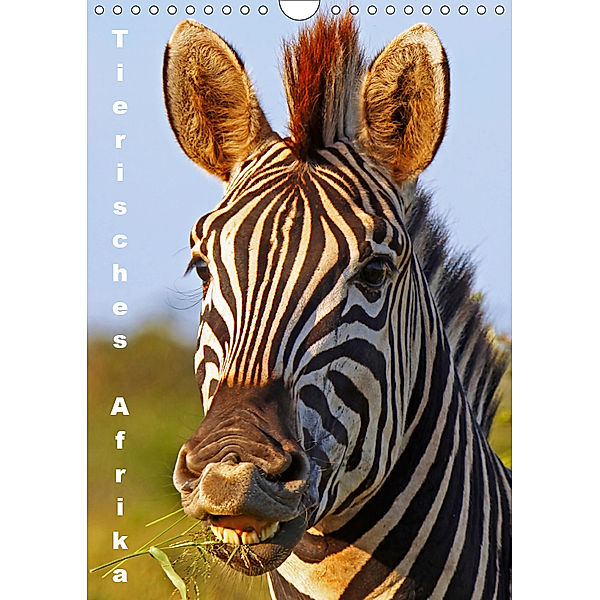 Tierisches Afrika (Wandkalender 2019 DIN A4 hoch), Wibke Woyke