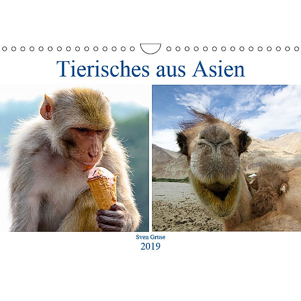 Tierisches aus Asien (Wandkalender 2019 DIN A4 quer), Sven Gruse