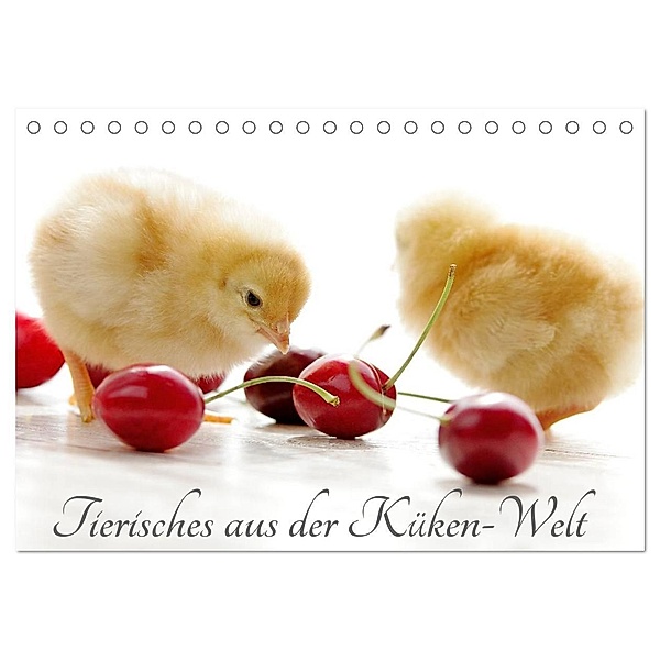 Tierisches aus der Küken-Welt (Tischkalender 2024 DIN A5 quer), CALVENDO Monatskalender, Tanja Riedel
