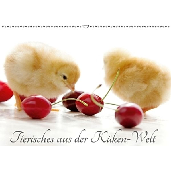 Tierisches aus der Küken-WeltAT-Version (Wandkalender 2016 DIN A2 quer), Tanja Riedel