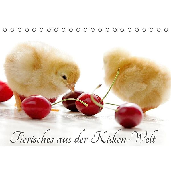 Tierisches aus der Küken-WeltAT-Version  (Tischkalender 2023 DIN A5 quer), Tanja Riedel