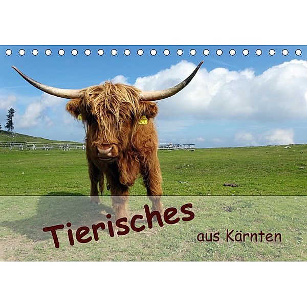 Tierisches aus Kärnten (Tischkalender 2020 DIN A5 quer), Bianca Mentil