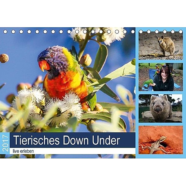 Tierisches Down Under - live erleben (Tischkalender 2017 DIN A5 quer), Anke Fietzek