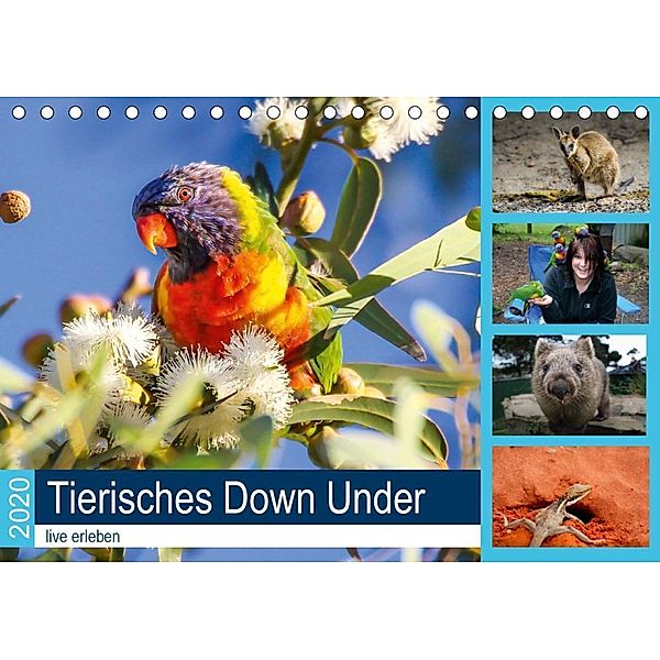 Tierisches Down Under - live erleben (Tischkalender 2020 DIN A5 quer), Anke Fietzek