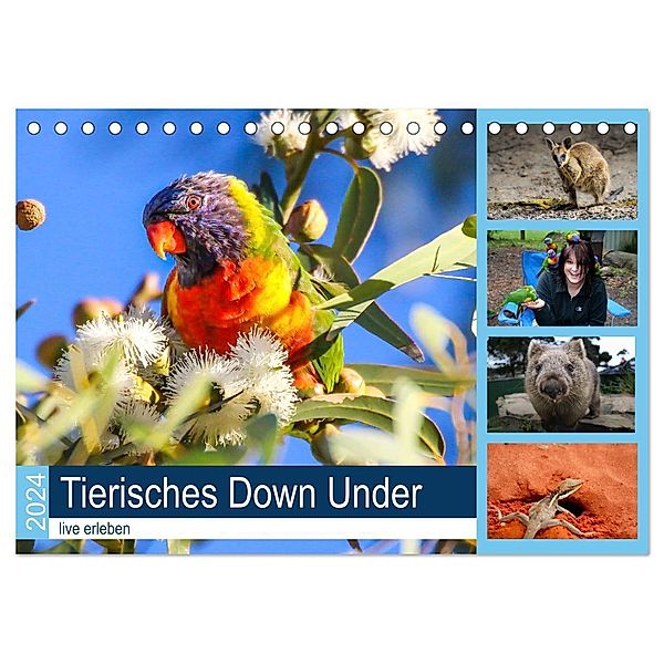 Tierisches Down Under - live erleben (Tischkalender 2024 DIN A5 quer), CALVENDO Monatskalender, Anke Fietzek