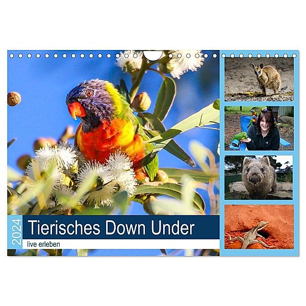 Tierisches Down Under - live erleben (Wandkalender 2024 DIN A4 quer), CALVENDO Monatskalender, Anke Fietzek