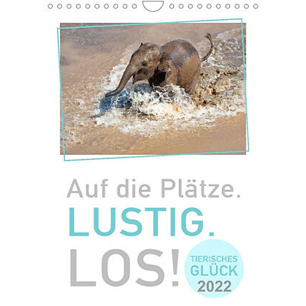 TIERISCHES GLÜCK (Wandkalender 2022 DIN A4 hoch), BuddhaART