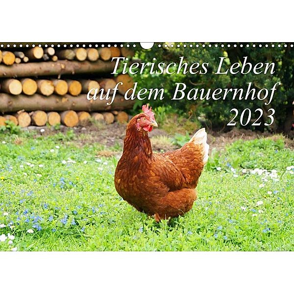 Tierisches Leben auf dem Bauernhof 2023 (Wandkalender 2023 DIN A3 quer), Steffani Lehmann