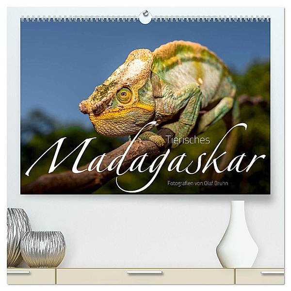 Tierisches Madagaskar (hochwertiger Premium Wandkalender 2025 DIN A2 quer), Kunstdruck in Hochglanz, Calvendo, Olaf Bruhn