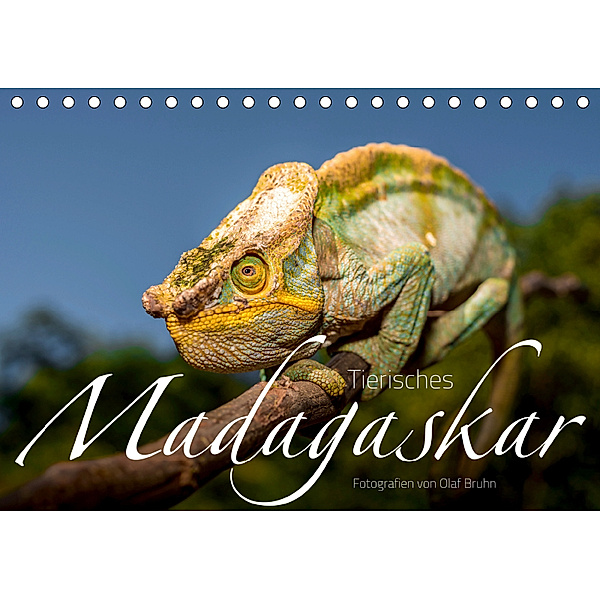 Tierisches Madagaskar (Tischkalender 2019 DIN A5 quer), Olaf Bruhn