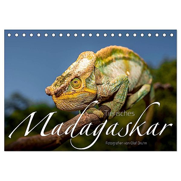 Tierisches Madagaskar (Tischkalender 2025 DIN A5 quer), CALVENDO Monatskalender, Calvendo, Olaf Bruhn