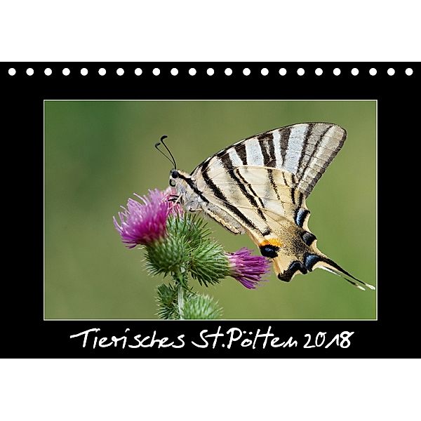Tierisches St.Pölten 2018AT-Version (Tischkalender 2018 DIN A5 quer), Barbara Seiberl-Stark