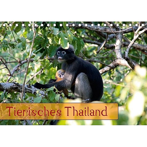 Tierisches Thailand (Tischkalender 2017 DIN A5 quer), Thomas Völcker