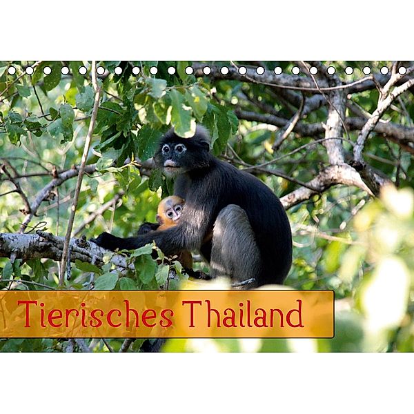 Tierisches Thailand (Tischkalender 2021 DIN A5 quer), Thomas Völcker
