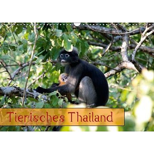 Tierisches Thailand (Wandkalender 2016 DIN A3 quer), Thomas Völcker