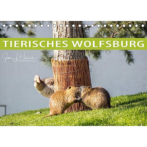 Tierisches Wolfsburg (Tischkalender 2023 DIN A5 quer), Jens L. Heinrich