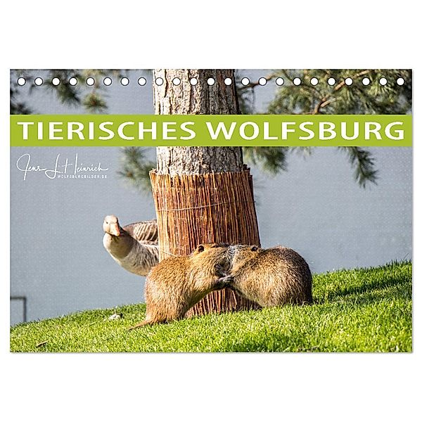 Tierisches Wolfsburg (Tischkalender 2024 DIN A5 quer), CALVENDO Monatskalender, Jens L. Heinrich