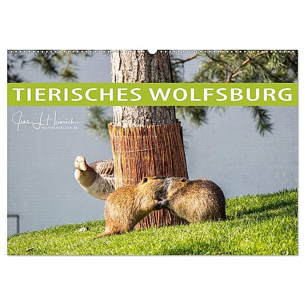 Tierisches Wolfsburg (Wandkalender 2024 DIN A2 quer), CALVENDO Monatskalender, Jens L. Heinrich