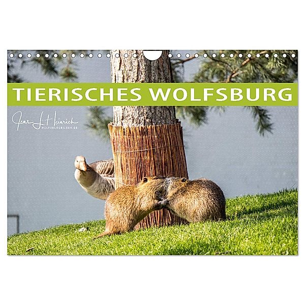 Tierisches Wolfsburg (Wandkalender 2024 DIN A4 quer), CALVENDO Monatskalender, Jens L. Heinrich