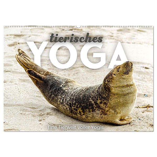 Tierisches Yoga - Eine Tierwelt voller Yogis. (Wandkalender 2025 DIN A2 quer), CALVENDO Monatskalender, Calvendo, SF