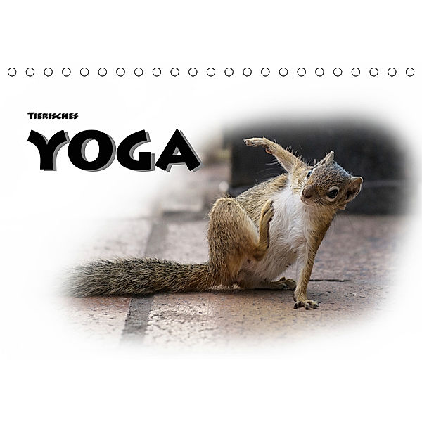 Tierisches Yoga (Tischkalender 2019 DIN A5 quer), Robert Styppa