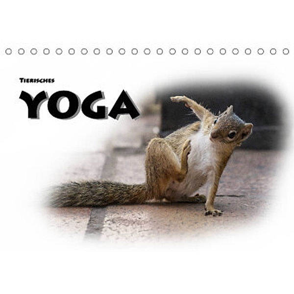 Tierisches Yoga (Tischkalender 2022 DIN A5 quer), Robert Styppa