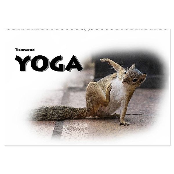 Tierisches Yoga (Wandkalender 2024 DIN A2 quer), CALVENDO Monatskalender, Robert Styppa