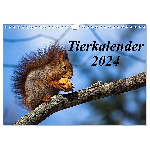 Tierkalender 2024 (Wandkalender 2024 DIN A4 quer), CALVENDO Monatskalender, Frank Tschöpe