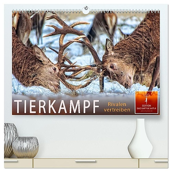 Tierkampf - Rivalen vertreiben (hochwertiger Premium Wandkalender 2024 DIN A2 quer), Kunstdruck in Hochglanz, Peter Roder