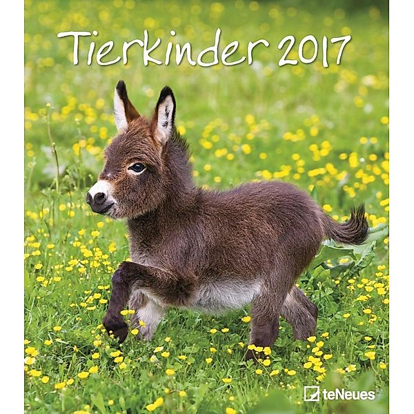 Tierkinder 2017