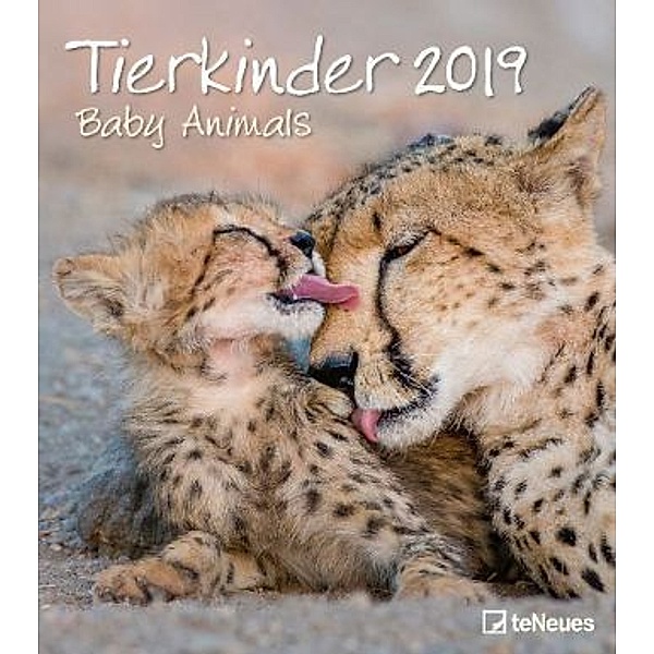 Tierkinder 2019