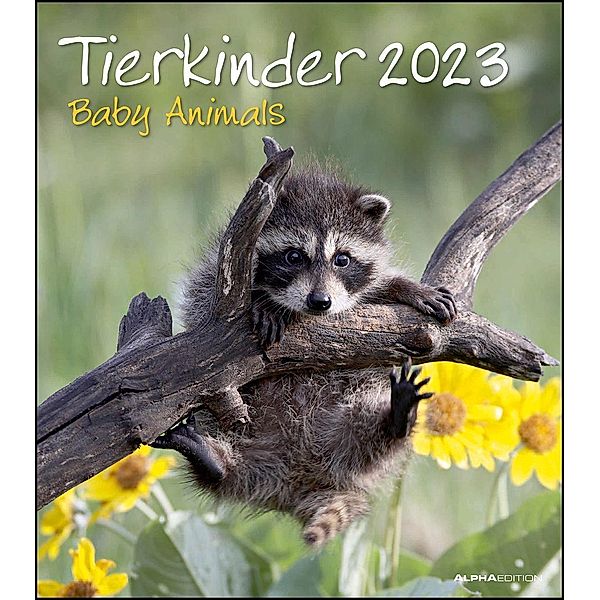 Tierkinder 2023 - Wand-Kalender - 30x34