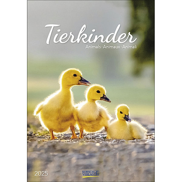 Tierkinder 2025