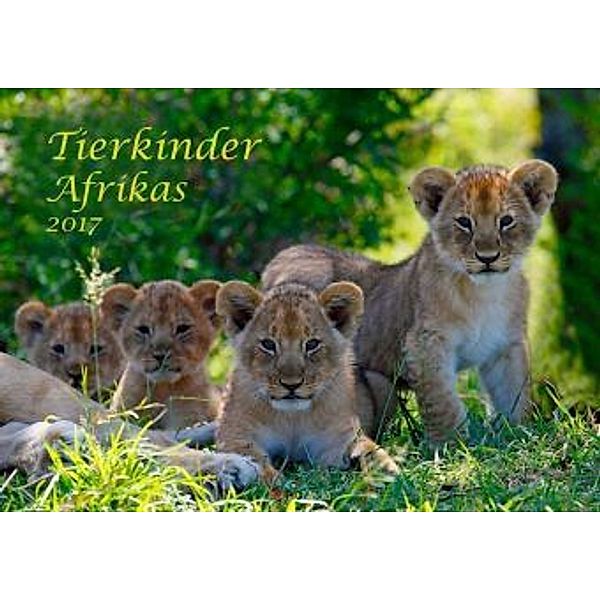 Tierkinder Afrikas 2017