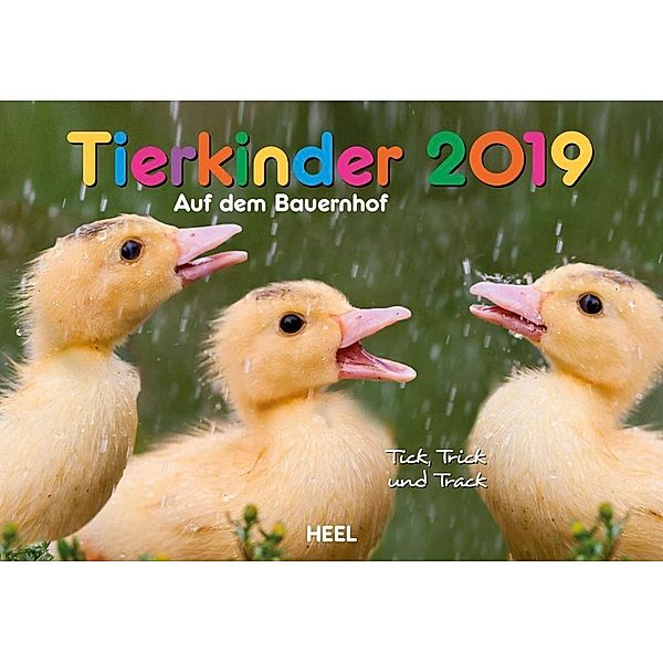 Tierkinder auf dem Bauernhof 2019