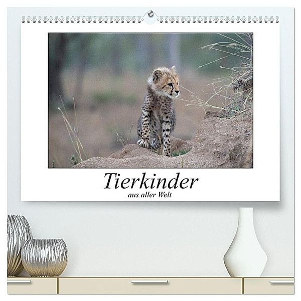 Tierkinder aus aller Welt (hochwertiger Premium Wandkalender 2025 DIN A2 quer), Kunstdruck in Hochglanz, Calvendo, Robert Styppa