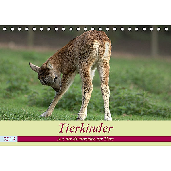 Tierkinder - Aus der Kinderstube der Tiere (Tischkalender 2019 DIN A5 quer), Arno Klatt