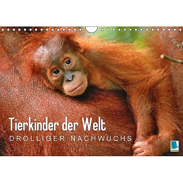 Tierkinder der Welt: Drolliger Nachwuchs (Wandkalender 2018 DIN A4 quer), Calvendo