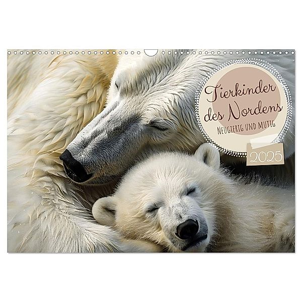 Tierkinder des Nordens (Wandkalender 2025 DIN A3 quer), CALVENDO Monatskalender, Calvendo, Daniela Tapper