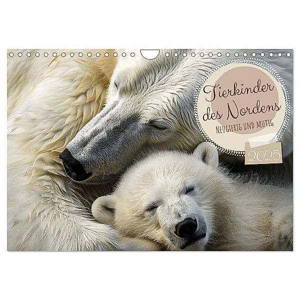 Tierkinder des Nordens (Wandkalender 2025 DIN A4 quer), CALVENDO Monatskalender, Calvendo, Daniela Tapper