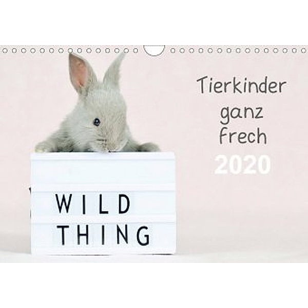 Tierkinder ganz frech (Wandkalender 2020 DIN A4 quer), Natalie Eckelt
