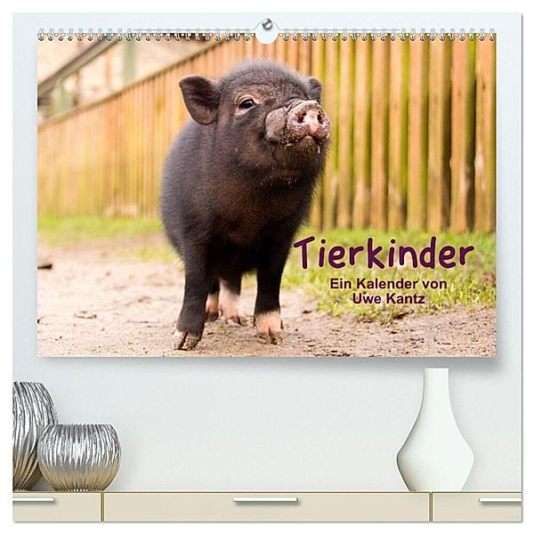 Tierkinder (hochwertiger Premium Wandkalender 2024 DIN A2 quer), Kunstdruck in Hochglanz, Uwe Kantz