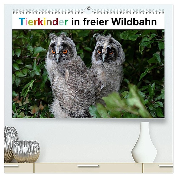 Tierkinder in freier Wildbahn (hochwertiger Premium Wandkalender 2025 DIN A2 quer), Kunstdruck in Hochglanz, Calvendo, Günter Bachmeier
