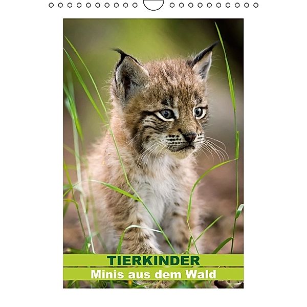 Tierkinder Minis aus dem Wald (Wandkalender 2014 DIN A4 hoch), CALVENDO