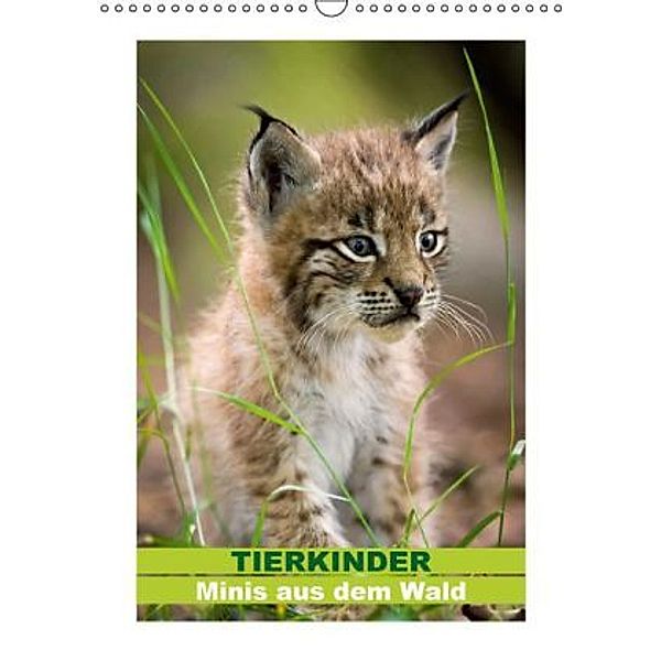 Tierkinder - Minis aus dem Wald (Wandkalender 2016 DIN A3 hoch), Calvendo