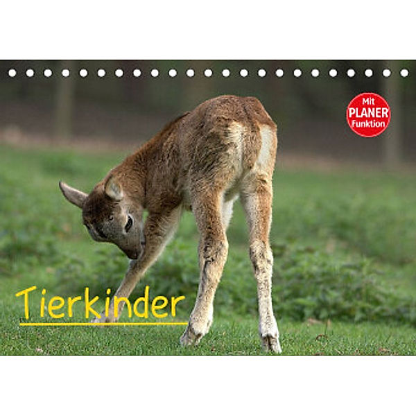 Tierkinder (Tischkalender 2022 DIN A5 quer), Arno Klatt