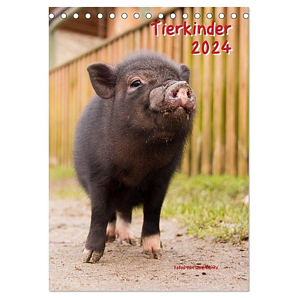 Tierkinder (Tischkalender 2024 DIN A5 hoch), CALVENDO Monatskalender, Uwe Kantz