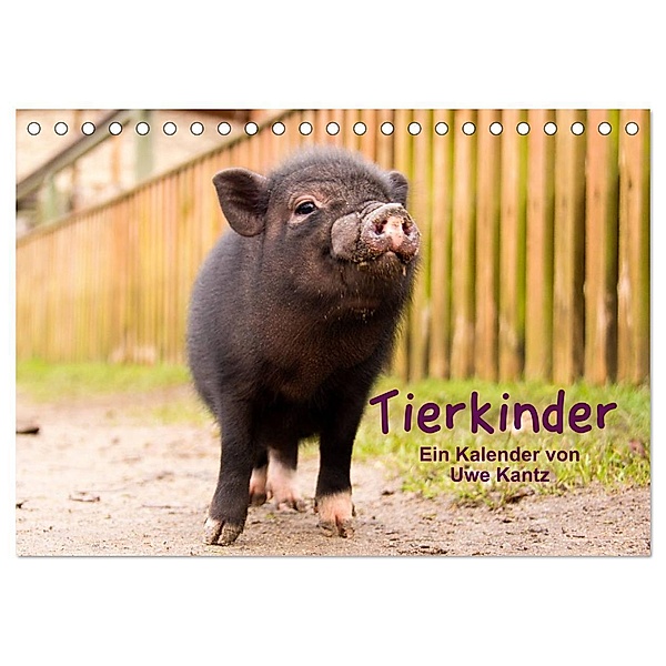 Tierkinder (Tischkalender 2024 DIN A5 quer), CALVENDO Monatskalender, Uwe Kantz