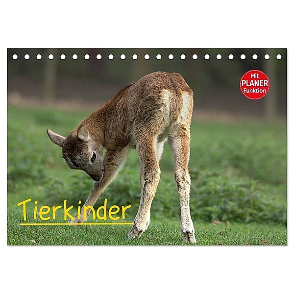 Tierkinder (Tischkalender 2024 DIN A5 quer), CALVENDO Monatskalender, Arno Klatt