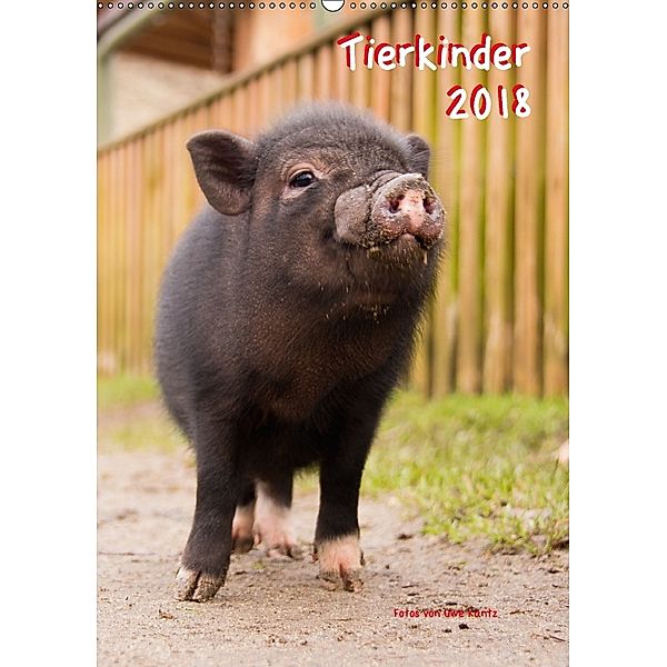 Tierkinder (Wandkalender 2018 DIN A2 hoch), Uwe Kantz